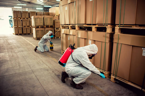 Best Residential Pest Control  in Lithonia, GA
