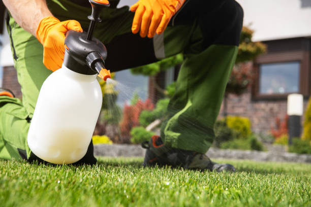Best Mosquito Control Services  in Lithonia, GA