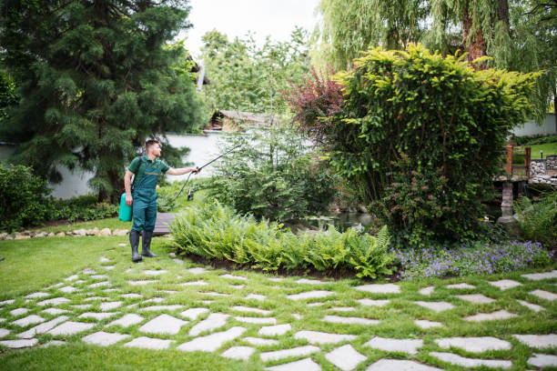 Best Pest Prevention Services  in Lithonia, GA
