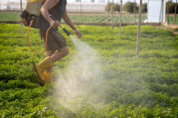Best Pest Removal Services  in Lithonia, GA