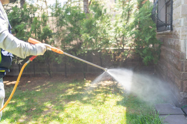 Trusted Lithonia, GA Pest Control Experts