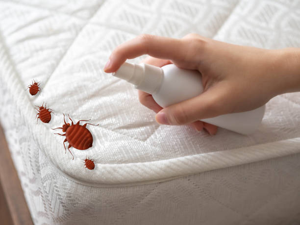 Best Cockroach Control Services  in Lithonia, GA