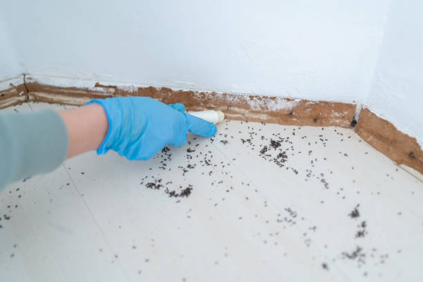 Best Best Pest Control Companies  in Lithonia, GA